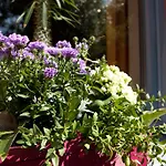 Behringers Freizeit - Und Tagungshotel ホテル ゲスヴァインシュタイン