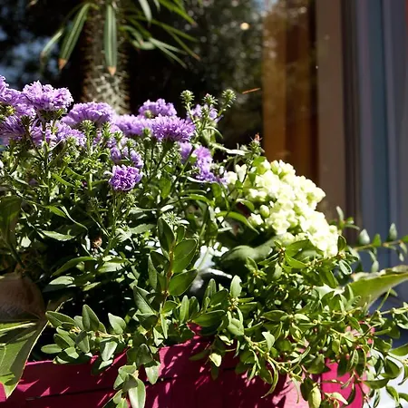 Behringers Freizeit - Und Tagungshotel Hotel Goessweinstein