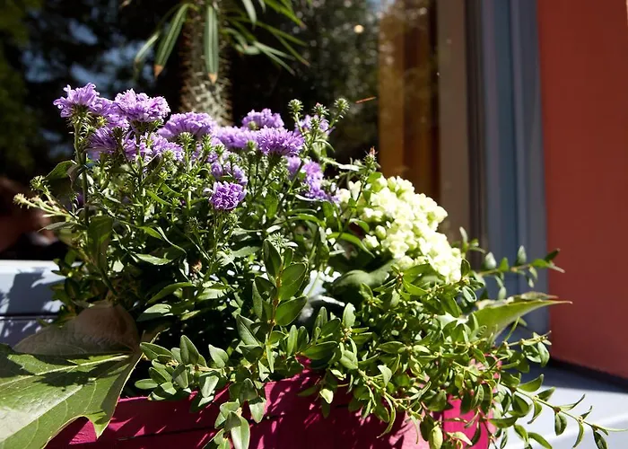Behringers Freizeit - Und Tagungshotel Hotel Goessweinstein